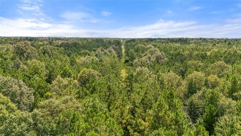 00001 Highway 105 Sour Lake TX 77659