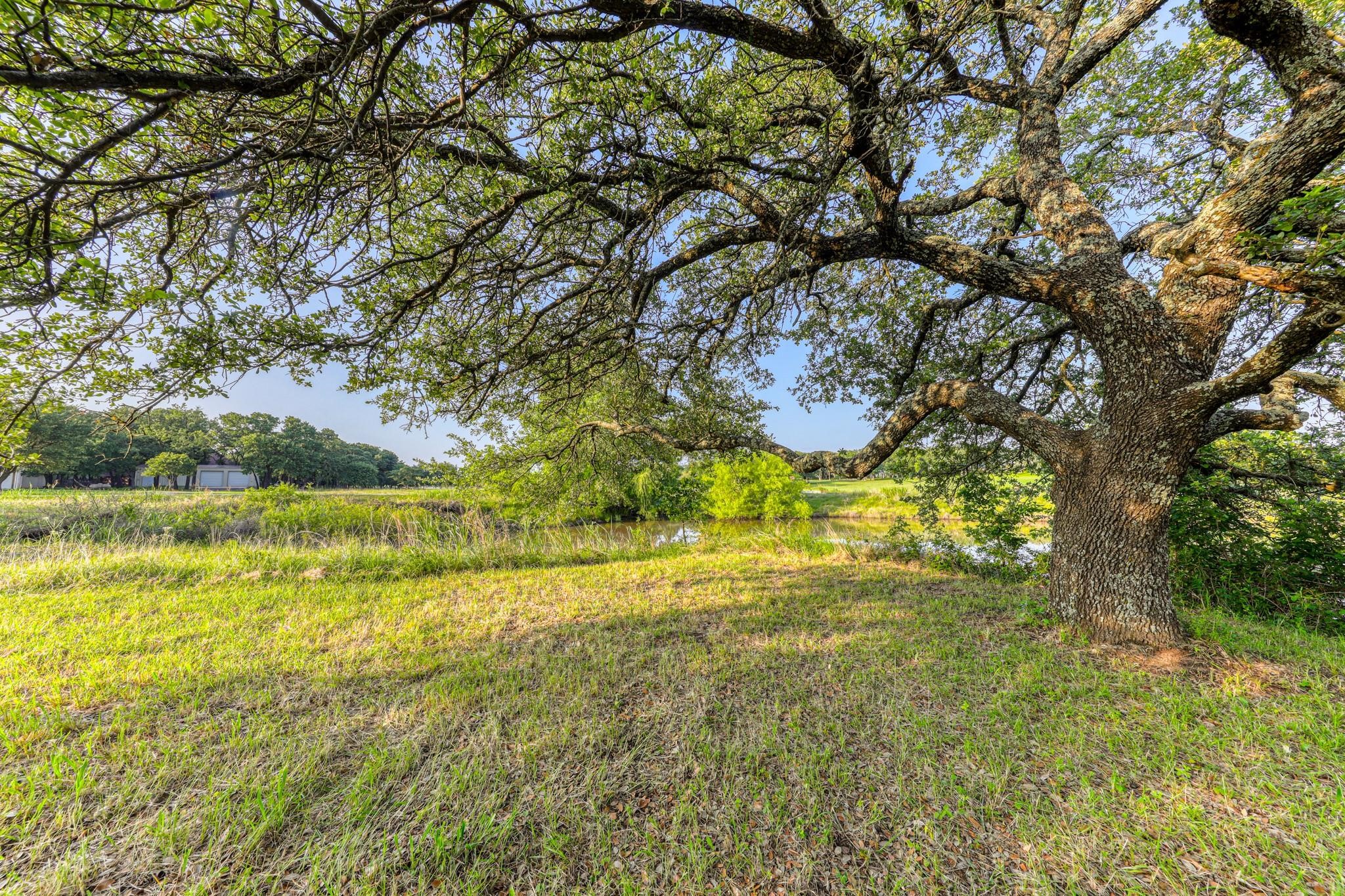 Tbd Chappel Hill Court Weatherford TX 76088