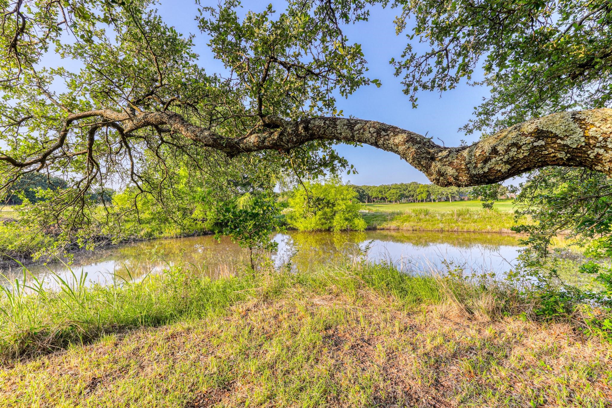 Tbd Chappel Hill Court Weatherford TX 76088