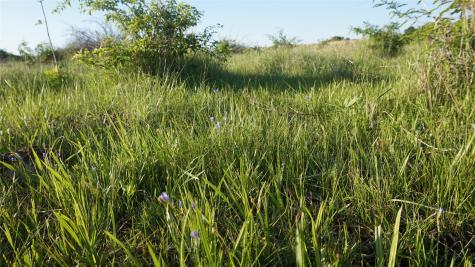 Tbd Lot 3-4 Adams Road Sherman TX 75090