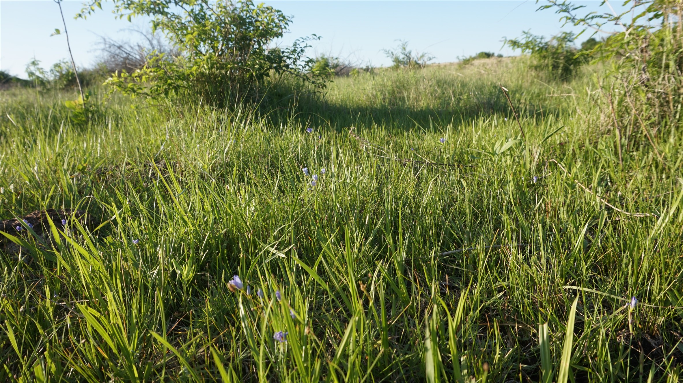 Tbd Lot 3-4 Adams Road Sherman TX 75090