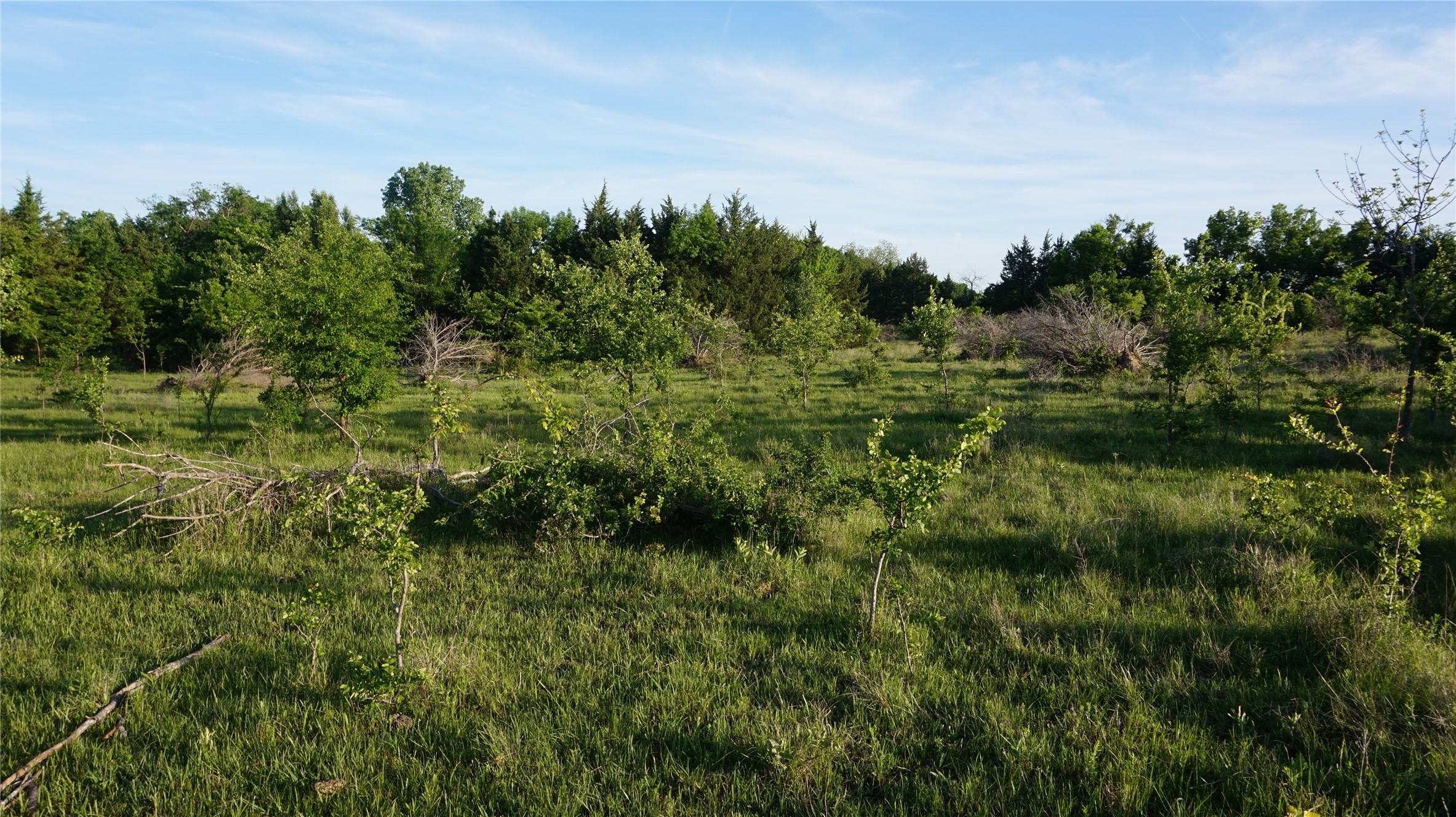 Tbd Lot 3-4 Adams Road Sherman TX 75090