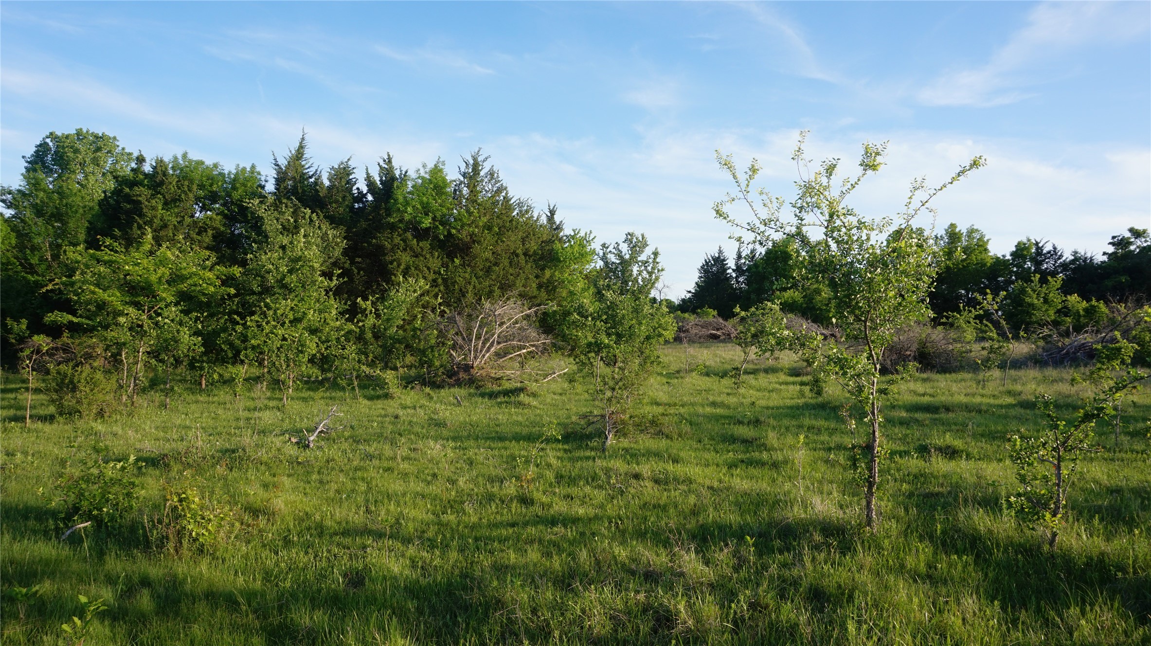 Tbd Lot 3-4 Adams Road Sherman TX 75090