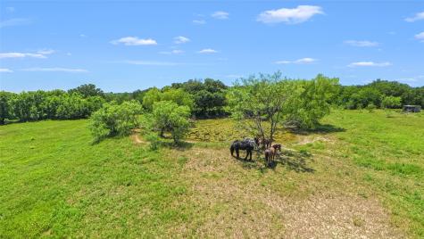 1561 Fm 80 N Streetman TX 75859