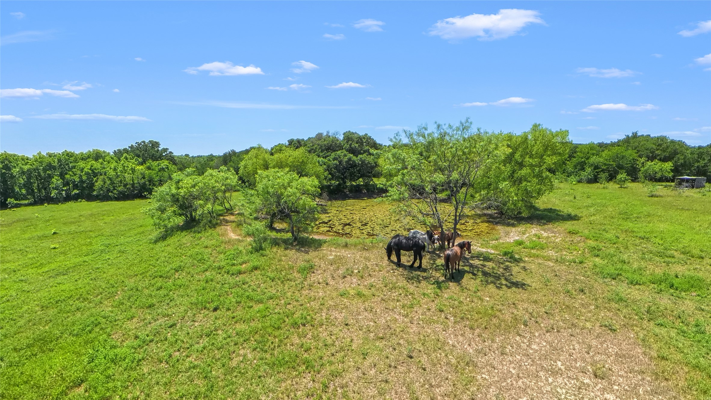 1561 Fm 80 N Streetman TX 75859