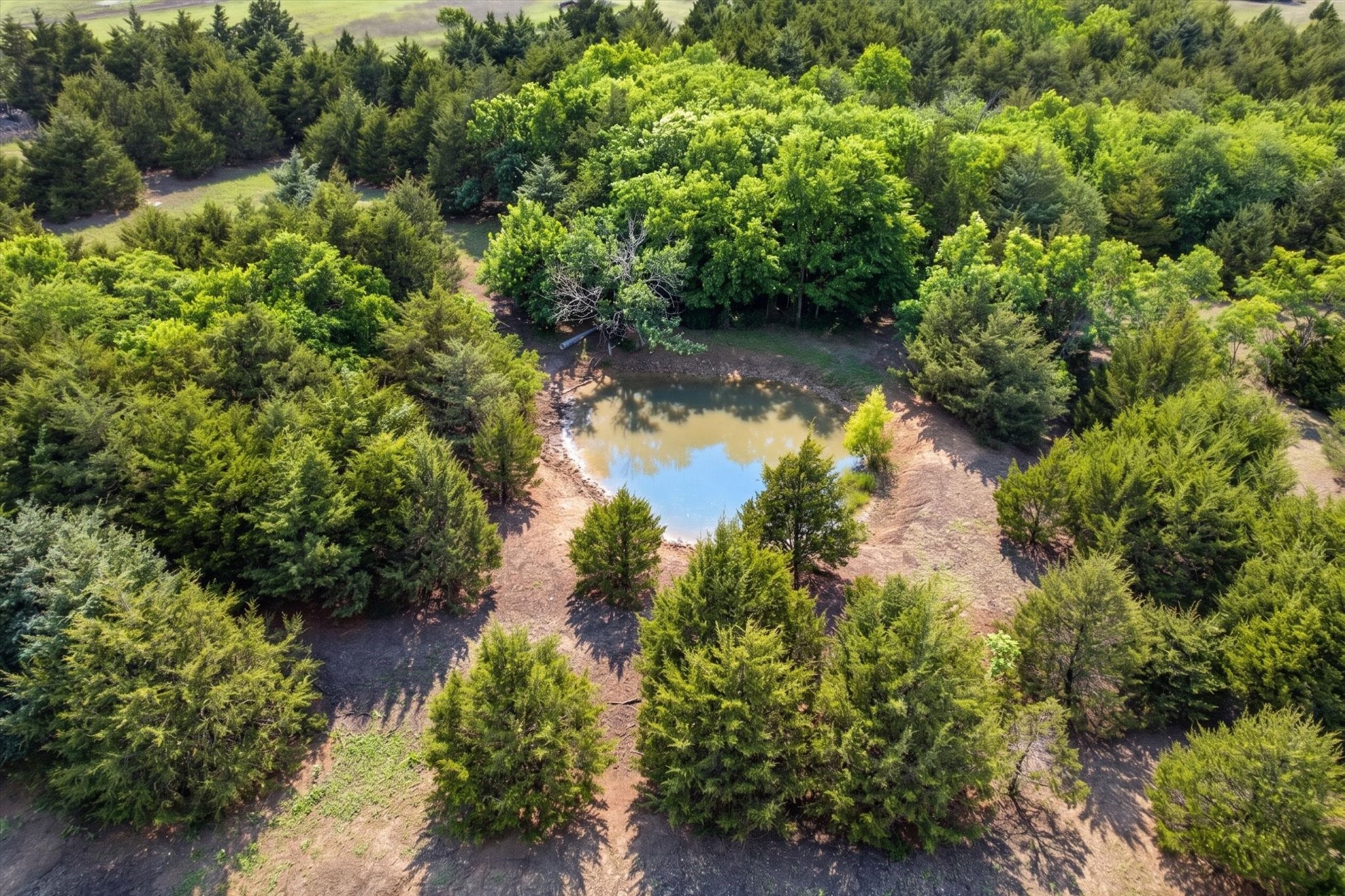 14991 Cr 1100 Blue Ridge TX 75424
