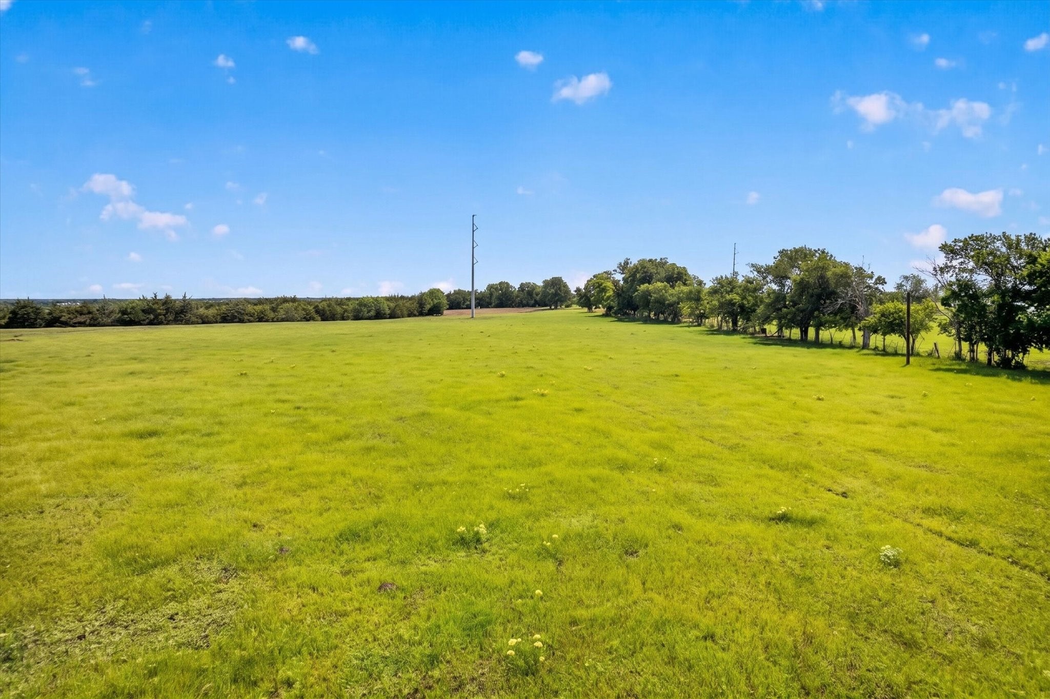 14991 Cr 1100 Blue Ridge TX 75424