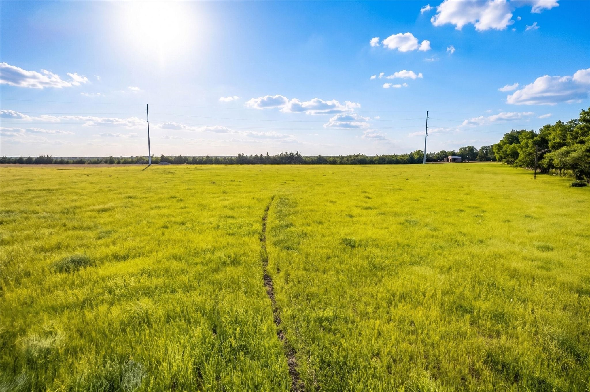 14991 Cr 1100 Blue Ridge TX 75424
