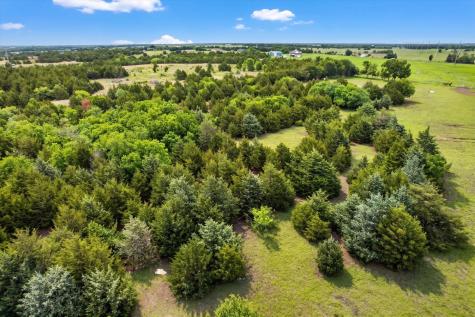 14991 Cr 1100 Blue Ridge TX 75424