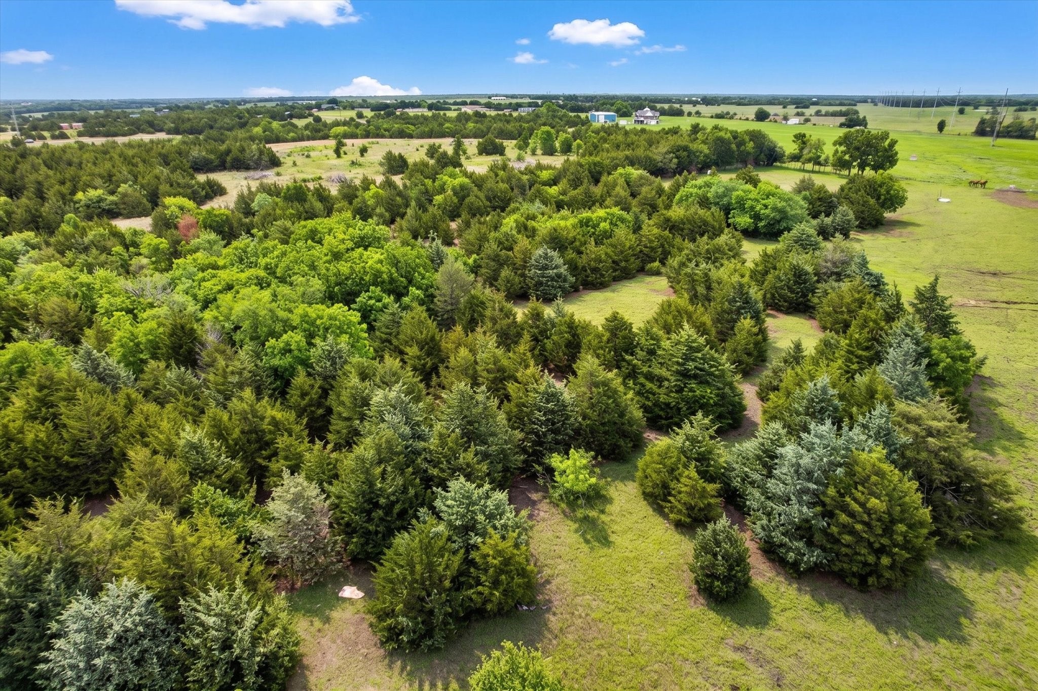 14991 Cr 1100 Blue Ridge TX 75424