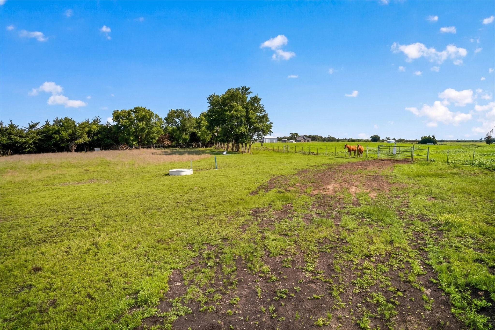 14991 Cr 1100 Blue Ridge TX 75424