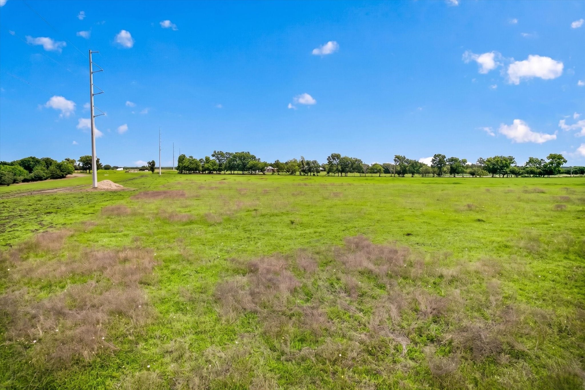 14991 Cr 1100 Blue Ridge TX 75424