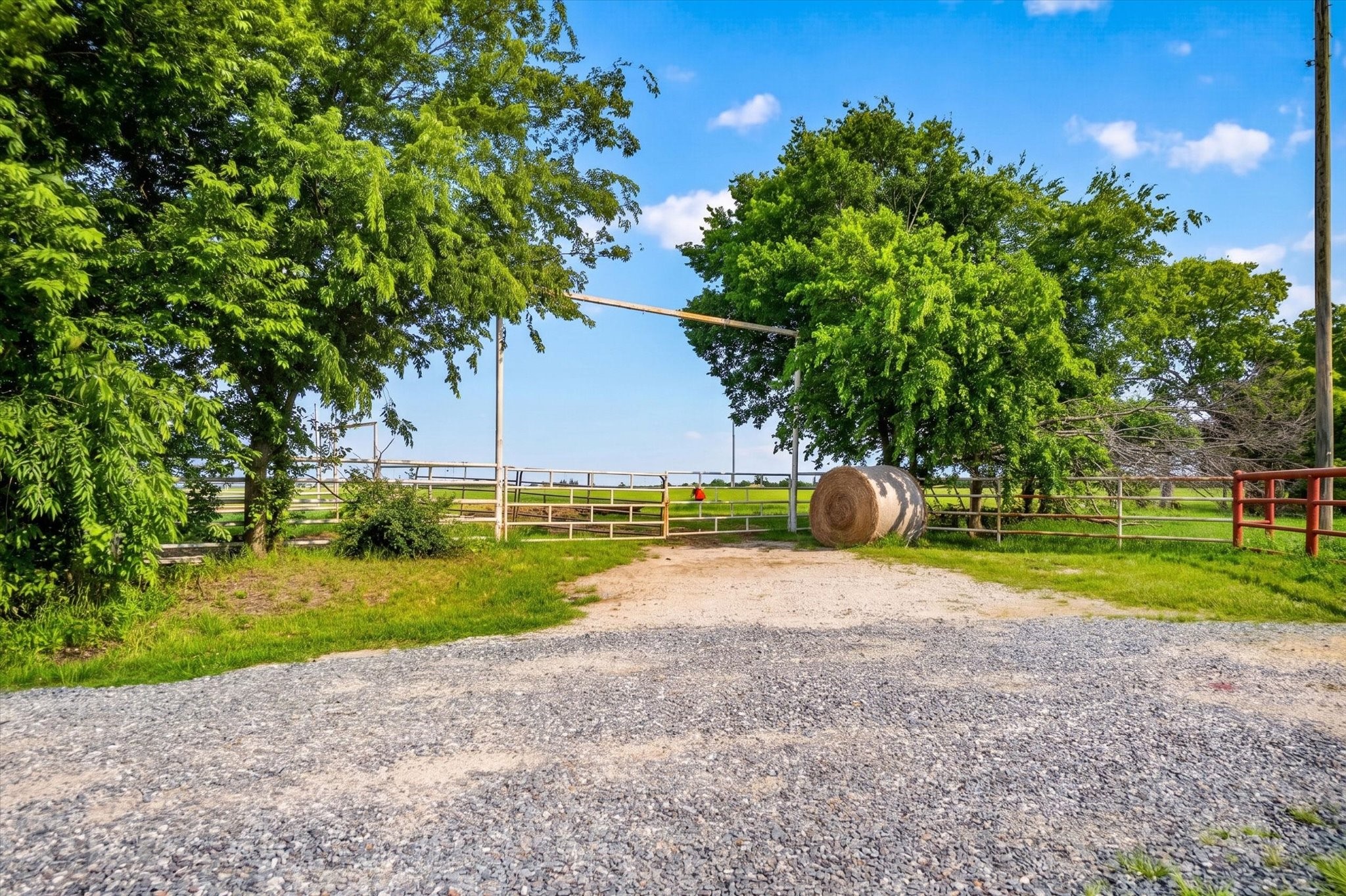 14991 Cr 1100 Blue Ridge TX 75424