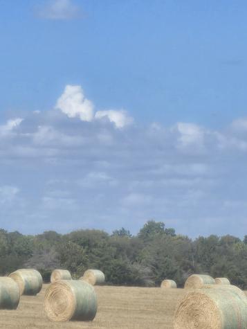 Tbd Fm 3486 Terrell TX 75160