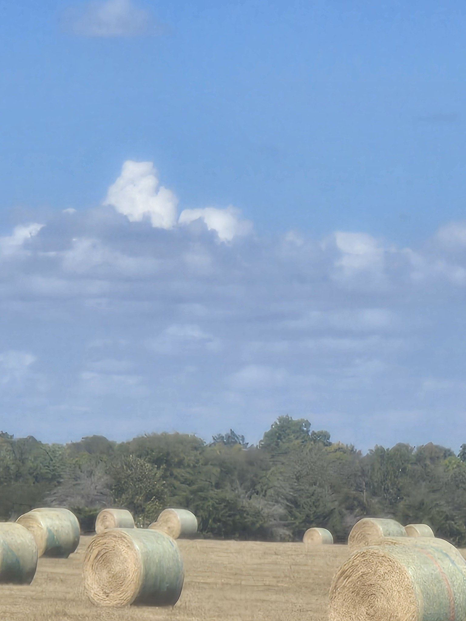 Tbd Fm 3486 Terrell TX 75160