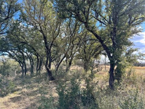 Tbd Lot 474 Anchors Away Brownwood TX 76801
