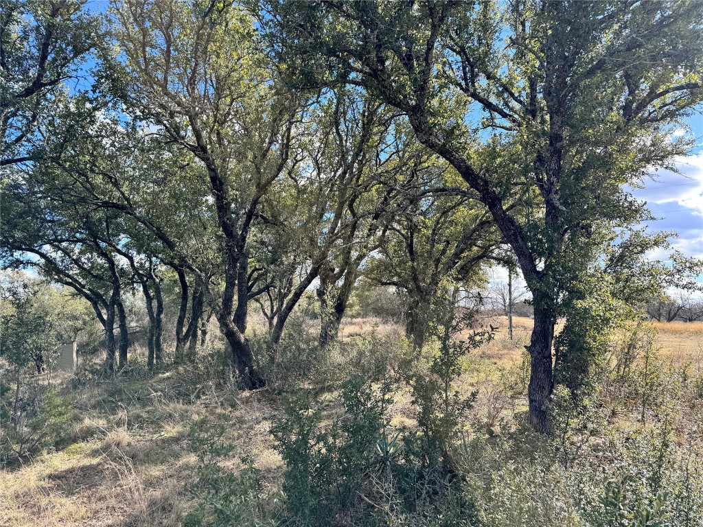 Tbd Lot 474 Anchors Away Brownwood TX 76801