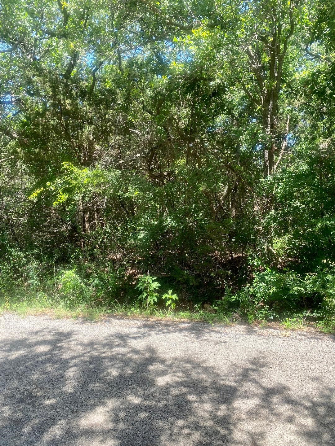 2922 Cedarbrush Street Granbury TX 76048