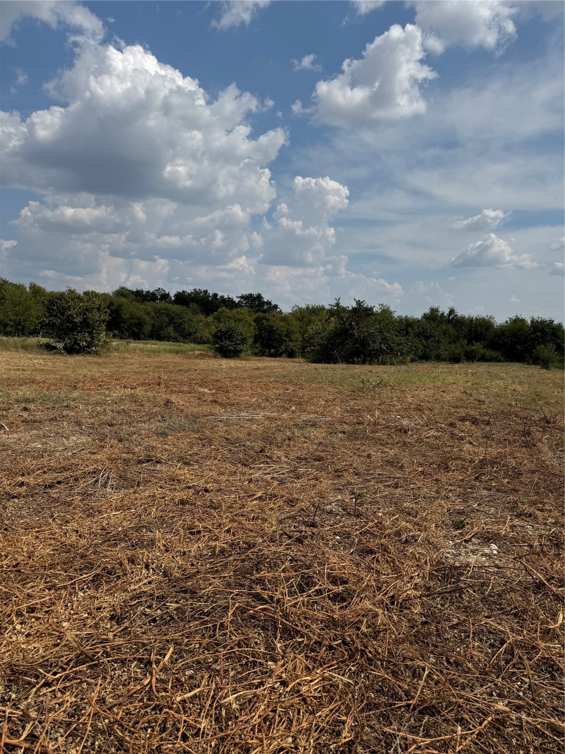 22 Longview Creek Trail Itasca TX 76055