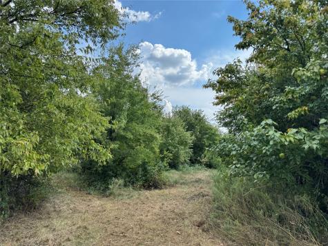 22 Longview Creek Trail Itasca TX 76055