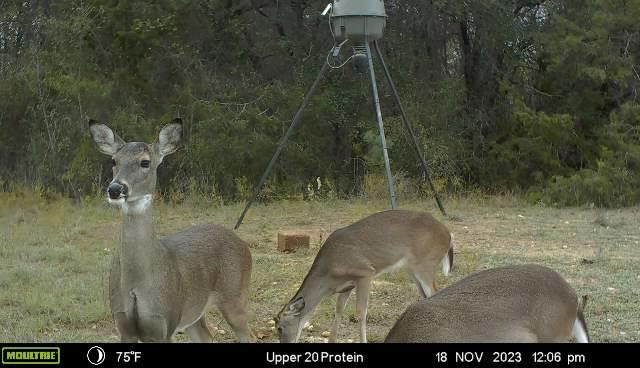 2523 County Road 218 Hico TX 76457
