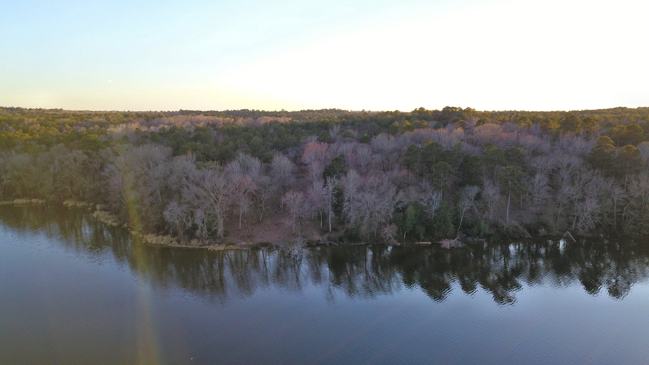 3266 Shadow Pine Drive Larue TX 75770