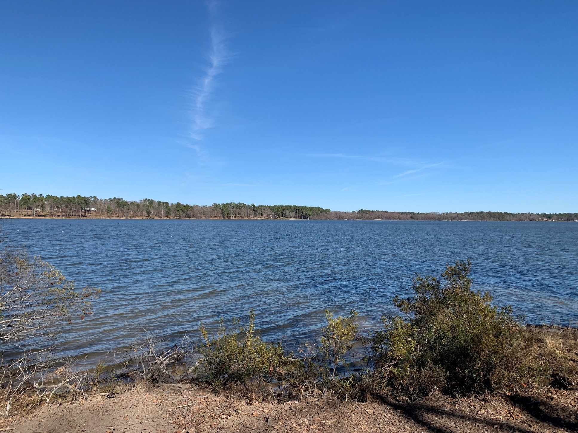 3266 Shadow Pine Drive Larue TX 75770