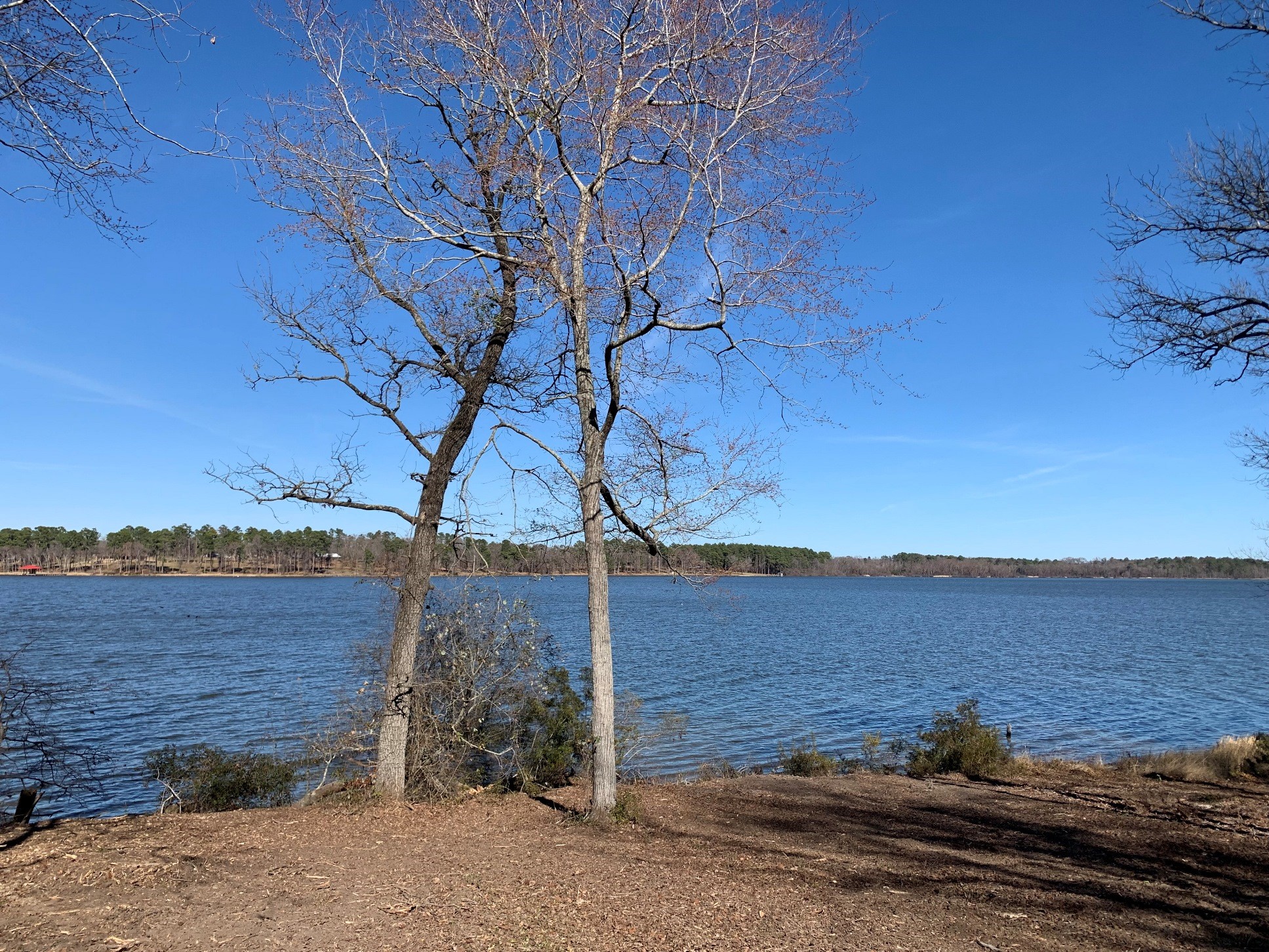 3266 Shadow Pine Drive Larue TX 75770