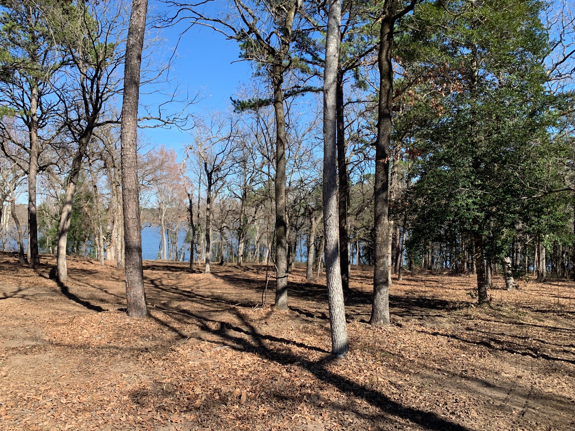 3266 Shadow Pine Drive Larue TX 75770