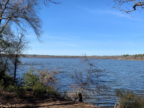 3266 Shadow Pine Drive Larue TX 75770