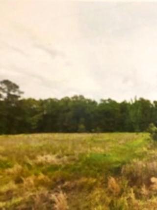 0 Whittington Cutoff Road Benton LA 71006