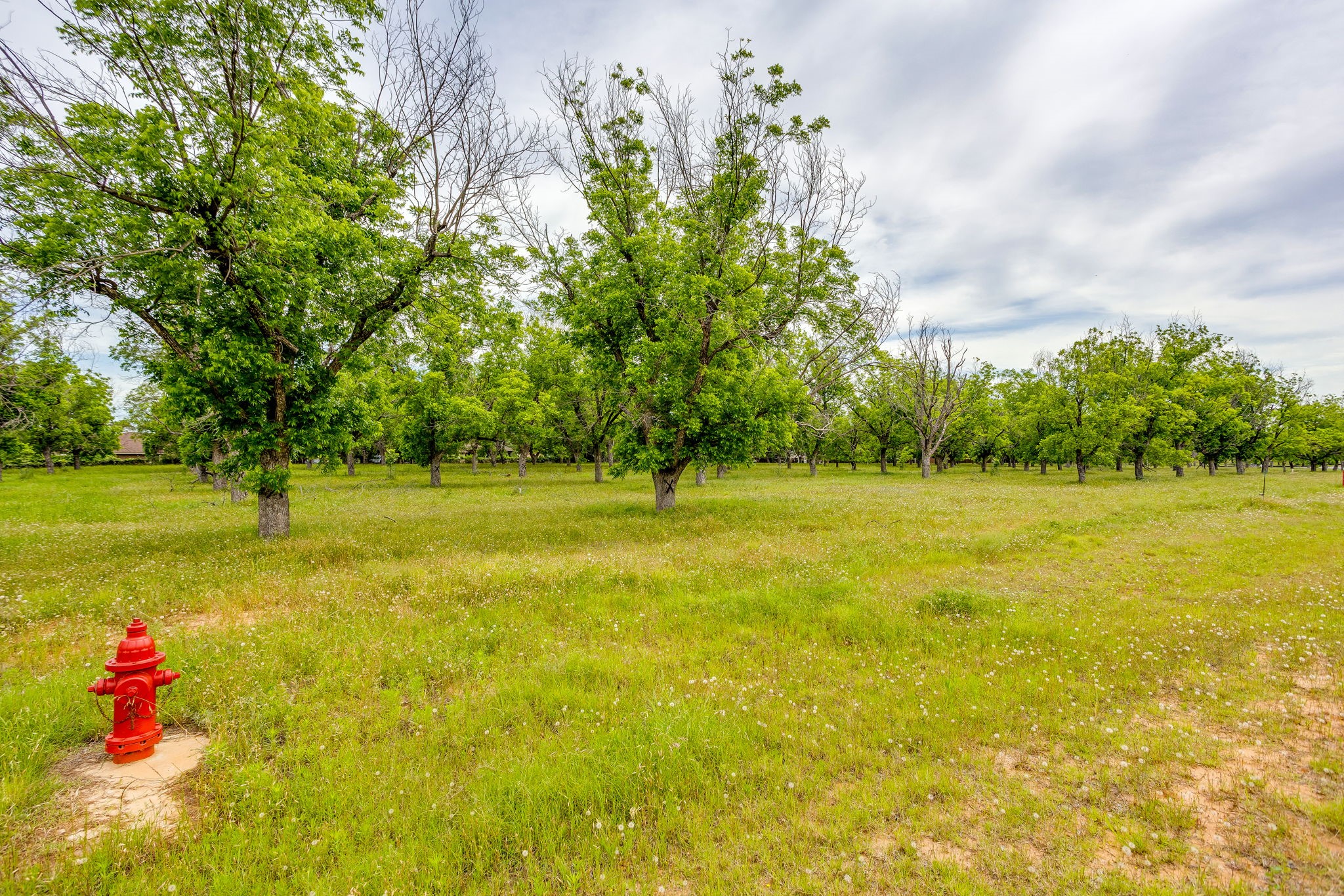 1000 E Landings N Granbury TX 76049
