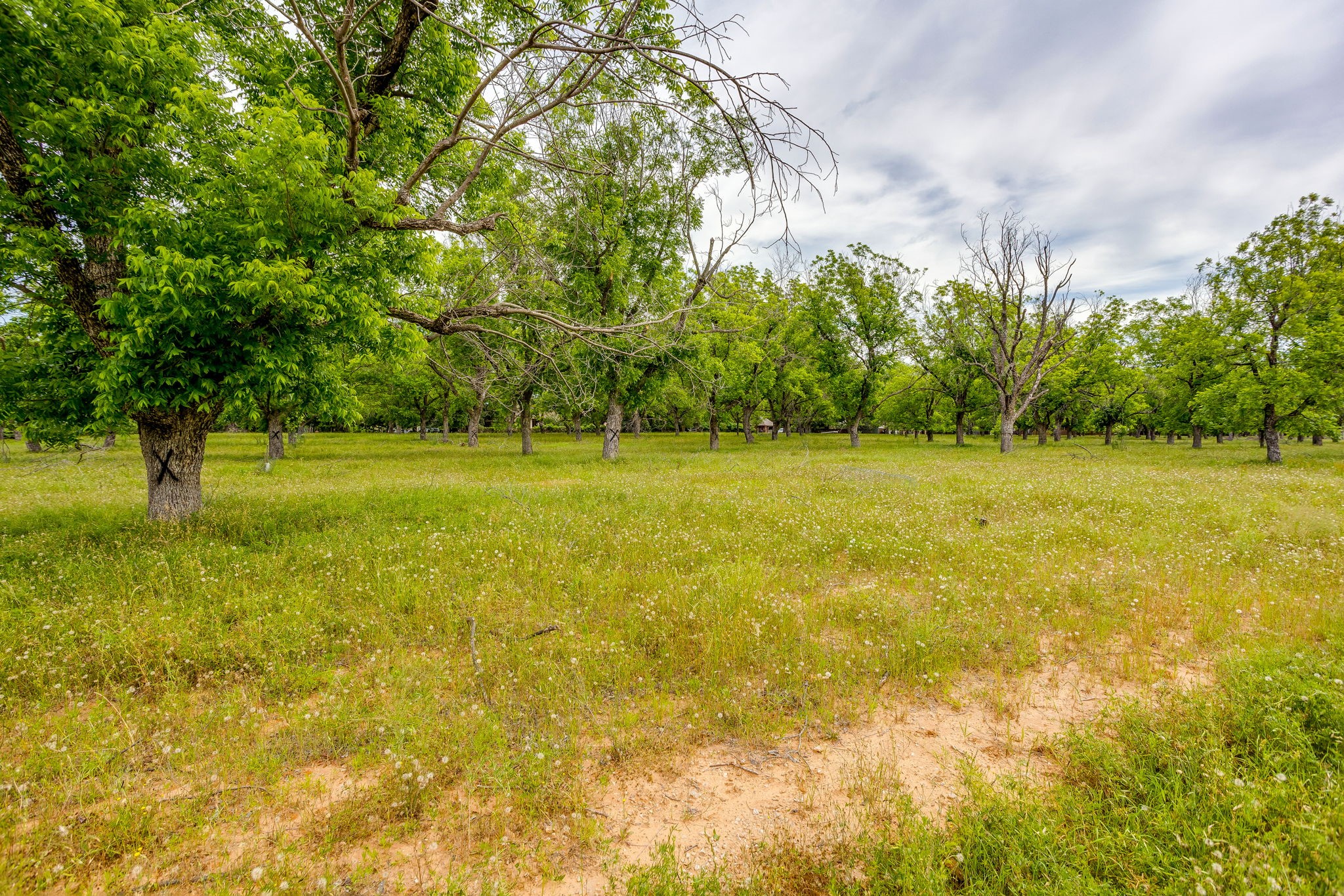 1000 E Landings N Granbury TX 76049