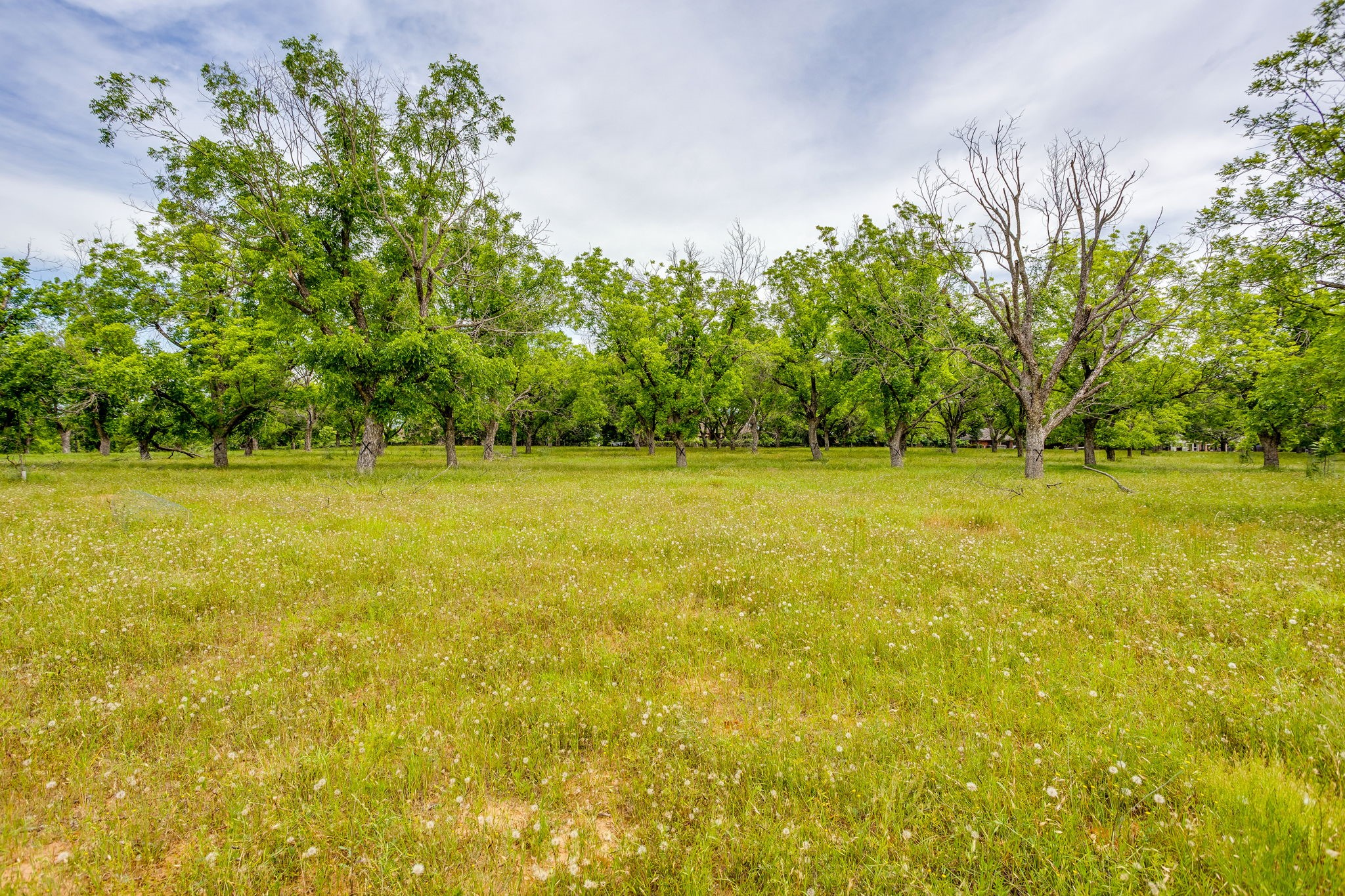 1000 E Landings N Granbury TX 76049