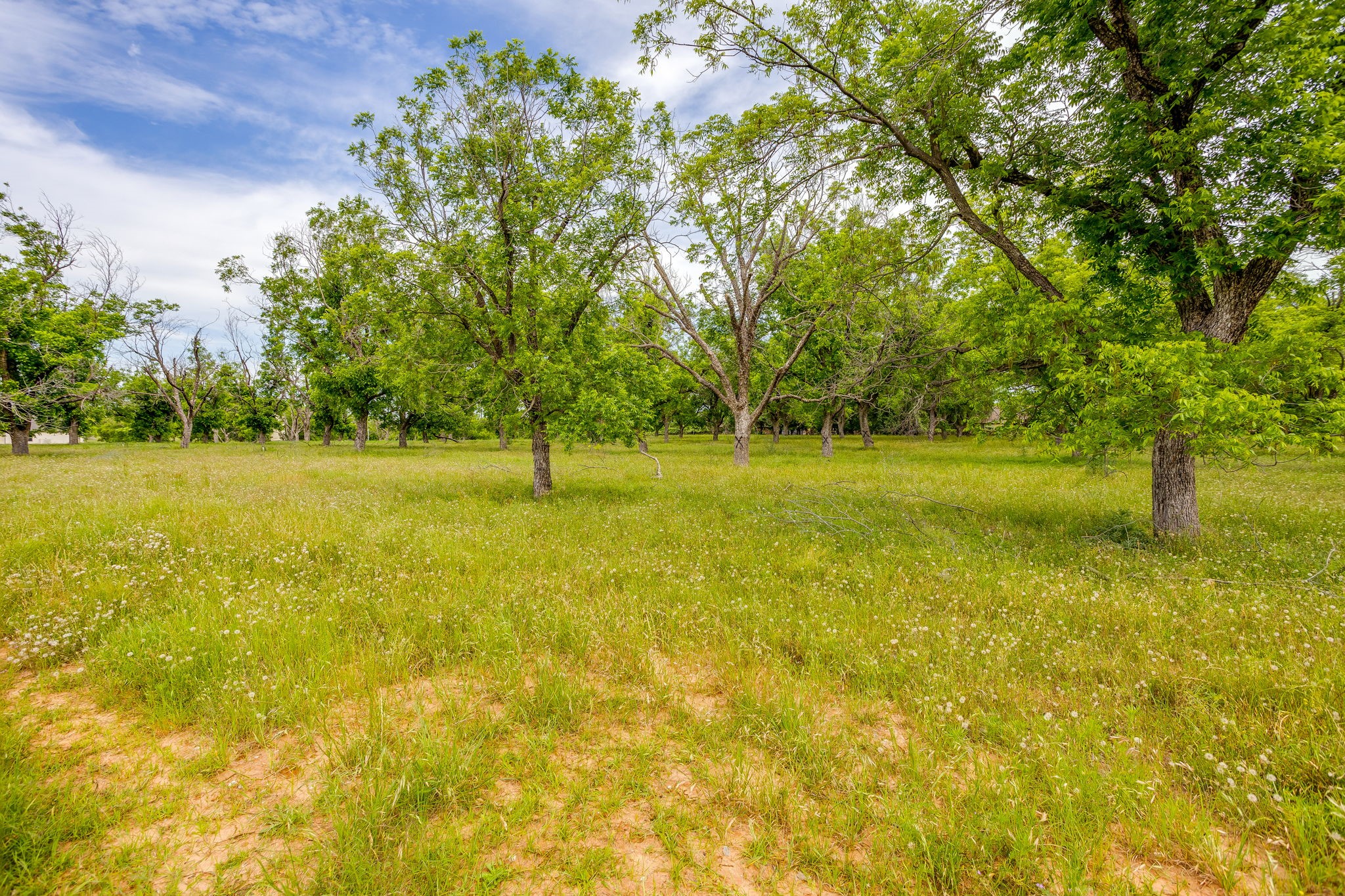 1000 E Landings N Granbury TX 76049