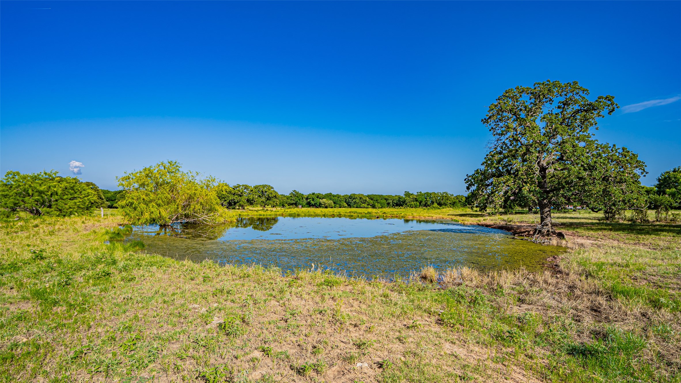 7601 Panther Branch Road Tolar TX 76476