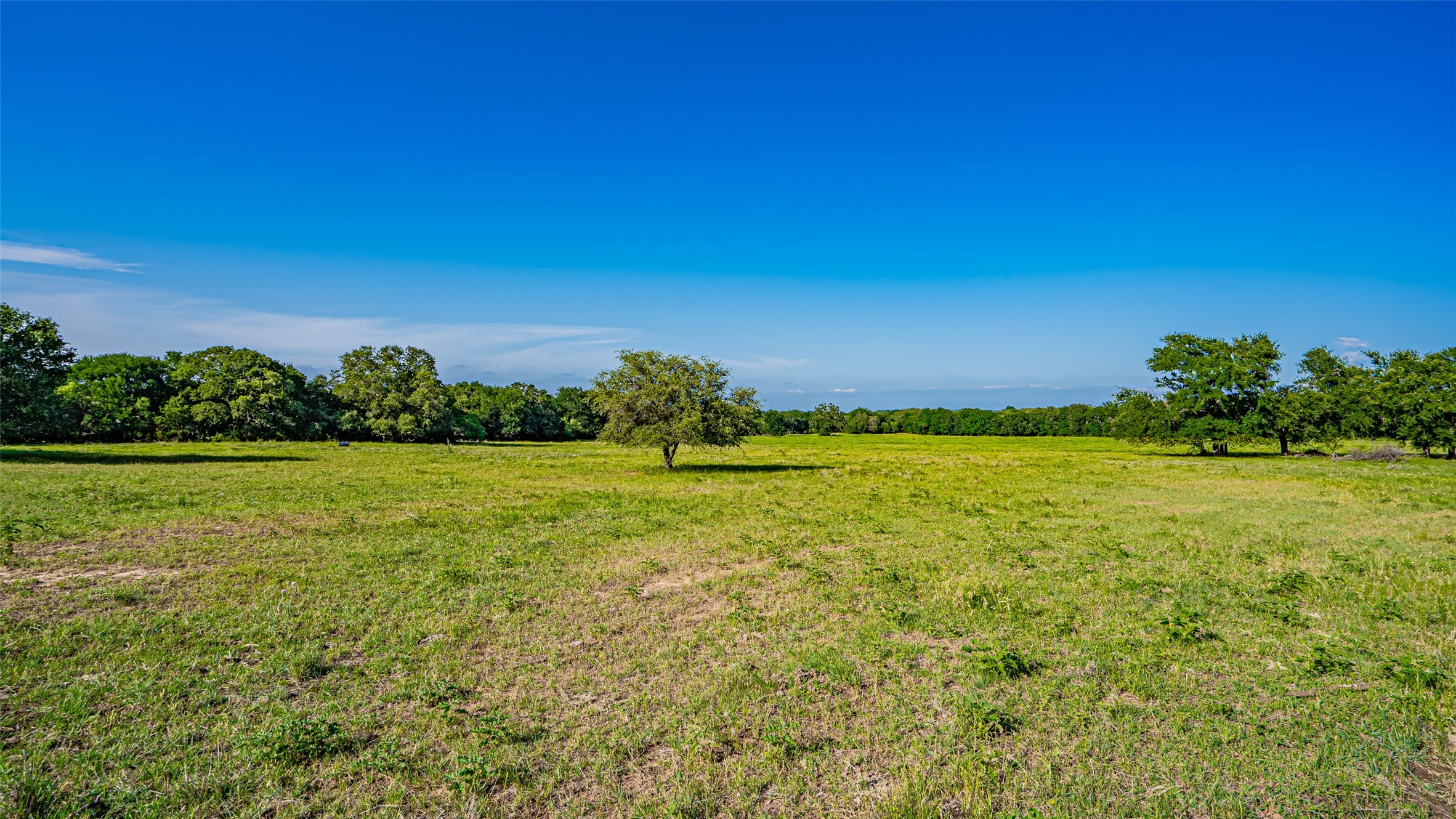 7601 Panther Branch Road Tolar TX 76476