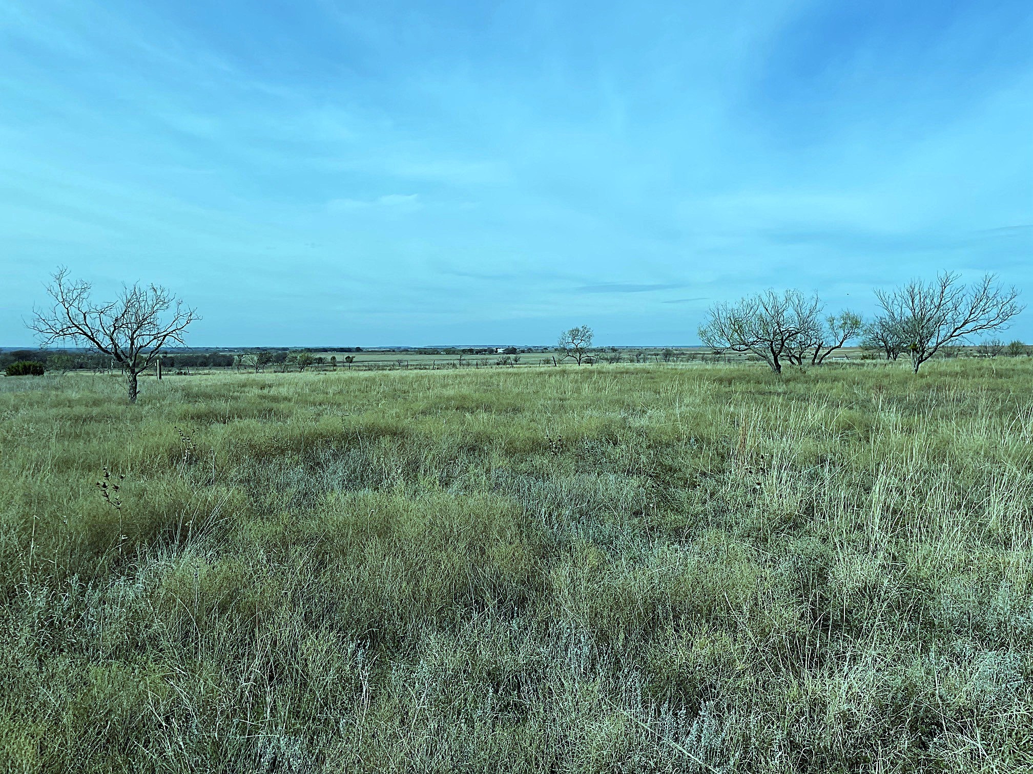 2335 County Road 619 Pottsville TX 76565