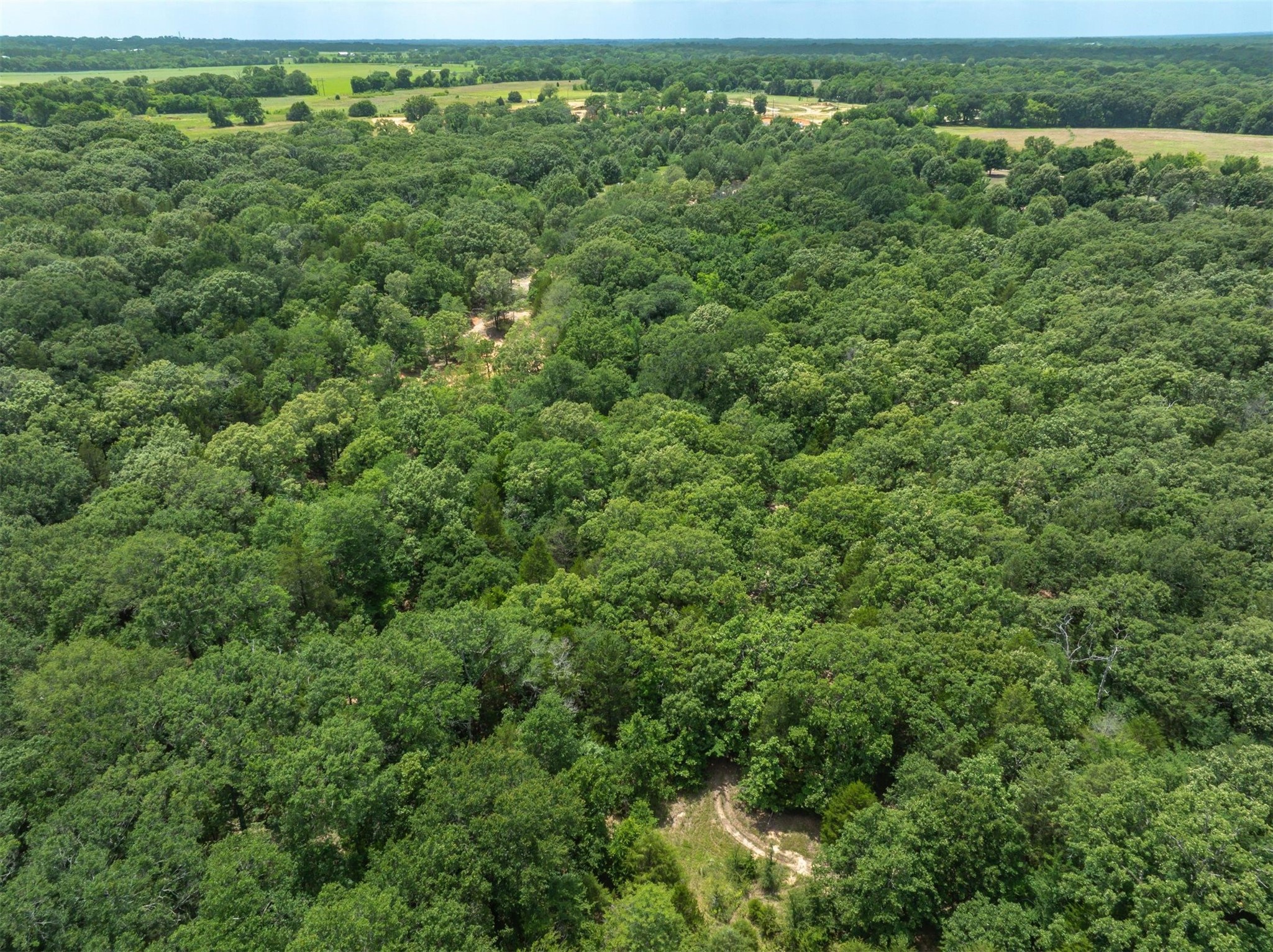 Tbd Tx-19 Edgewood TX 75117