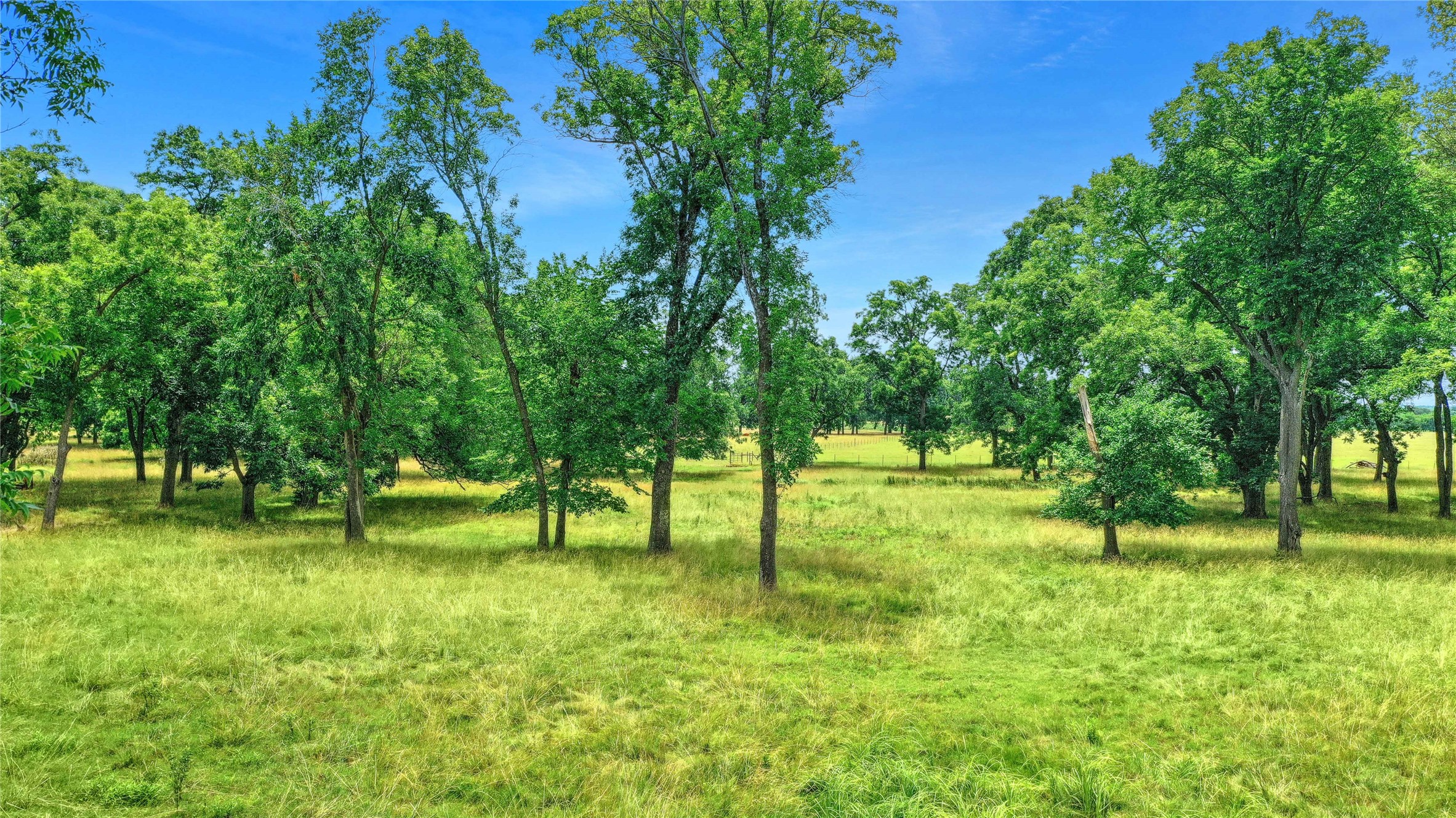 320 Elmore Road Denison TX 75021