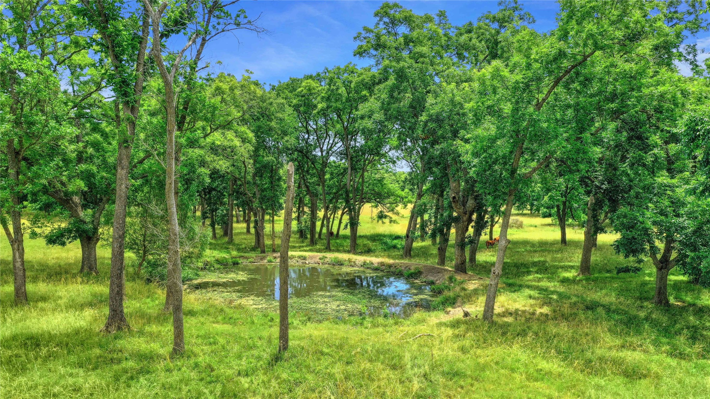 320 Elmore Road Denison TX 75021