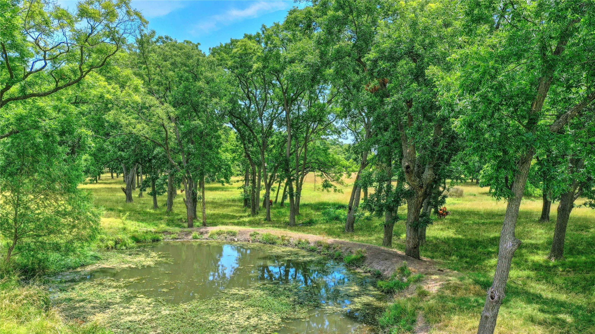 320 Elmore Road Denison TX 75021
