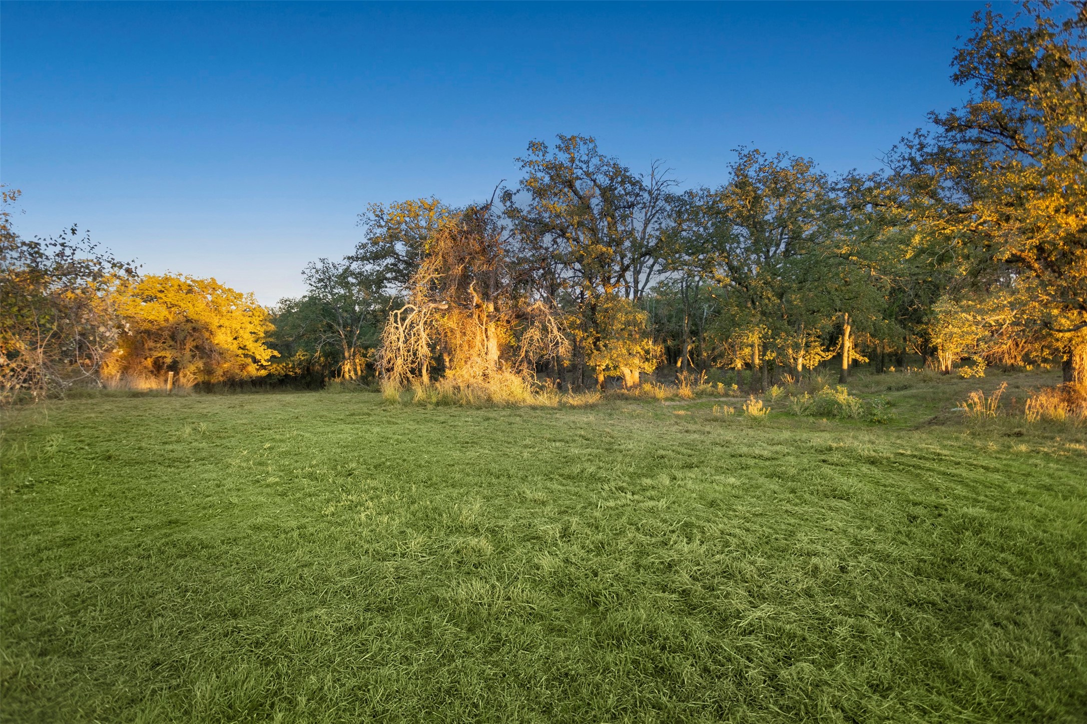 204 N Cheyenne Trail Springtown TX 76082