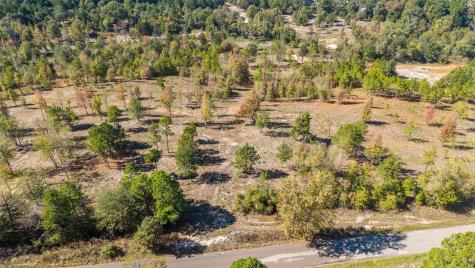 Tbd County Road 4112 Lot 2 Lindale TX 75771