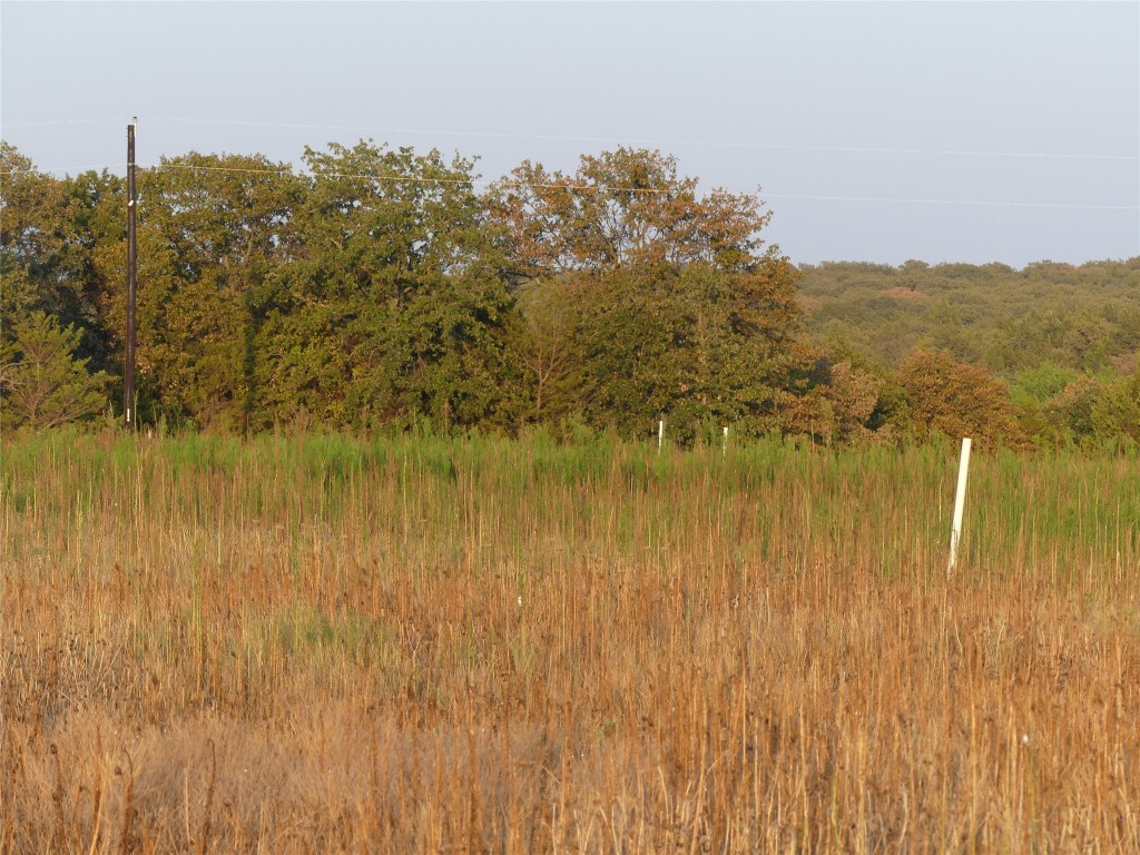 251 Pondview Lane Nocona TX 76255