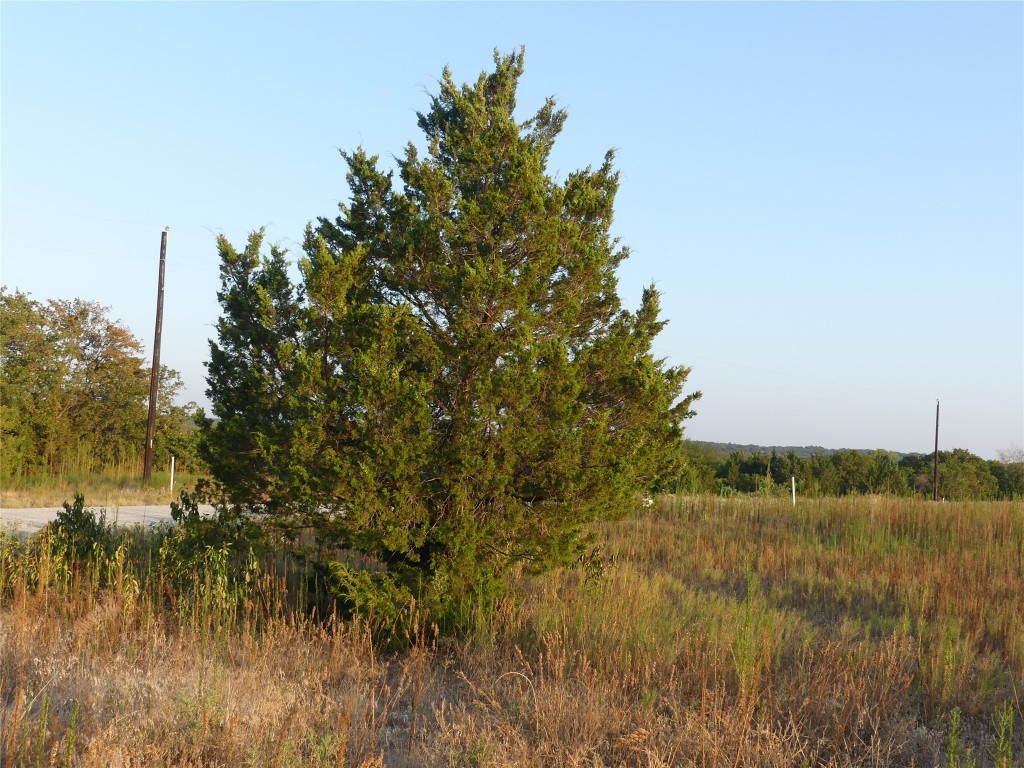 251 Pondview Lane Nocona TX 76255