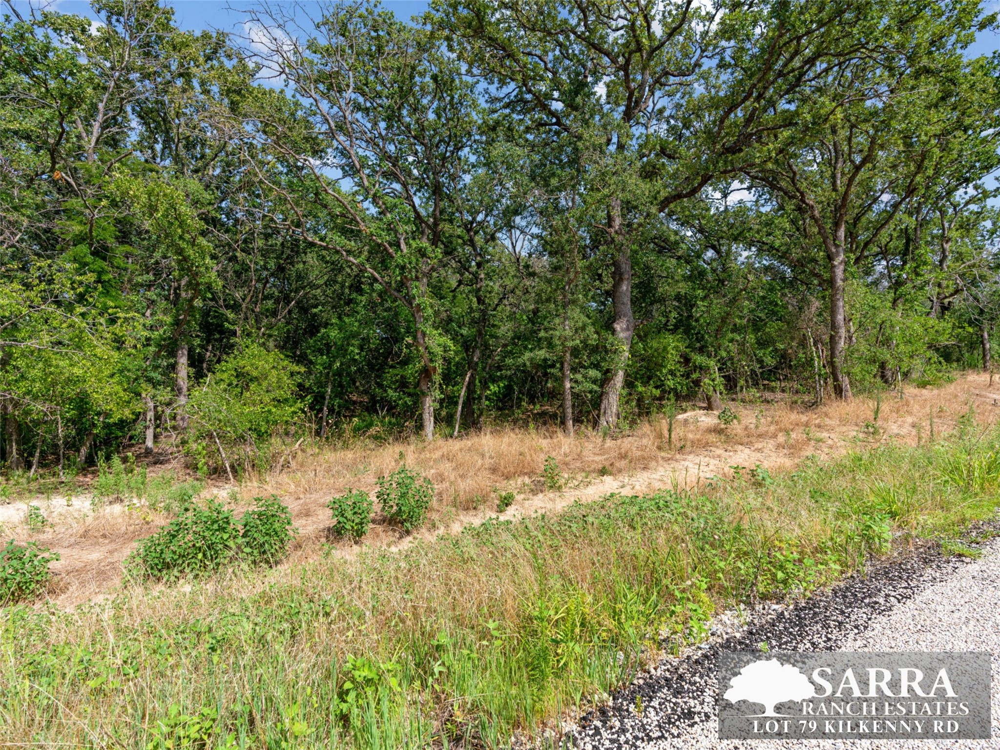 Lot 79 Kilkenney Road Poolville TX 76487