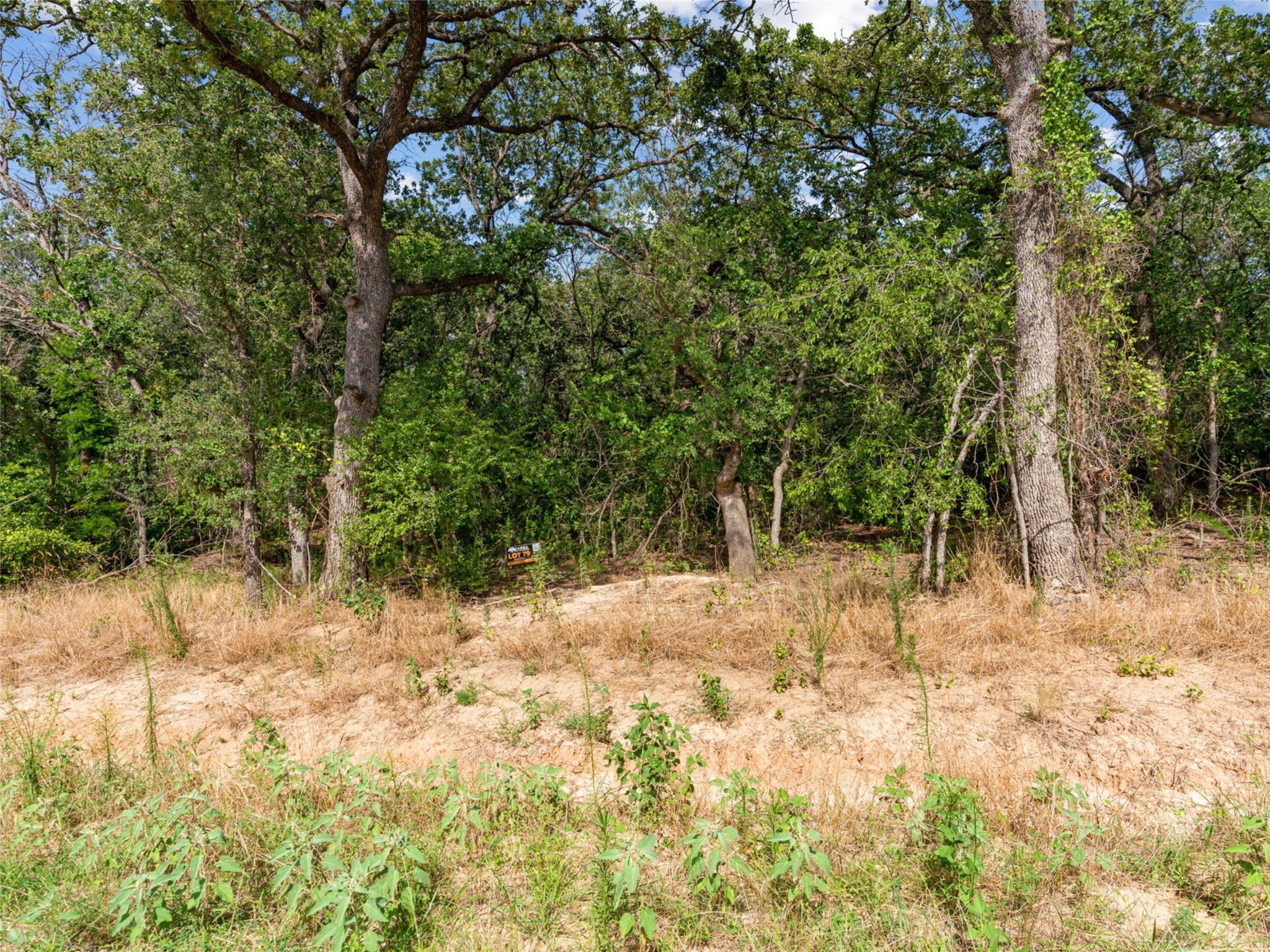 Lot 79 Kilkenney Road Poolville TX 76487