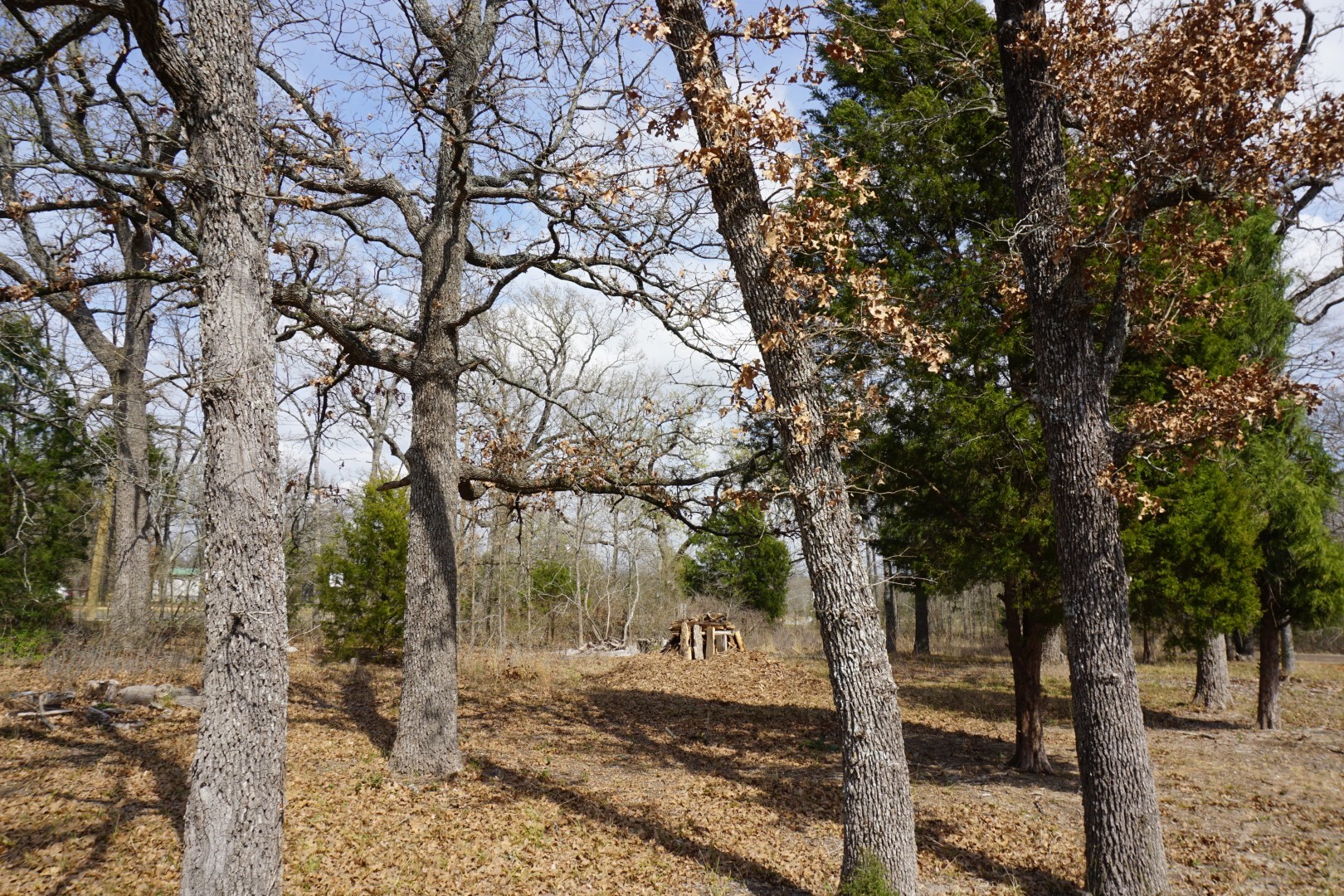 1698 Doc Holiday Drive Log Cabin TX 75148
