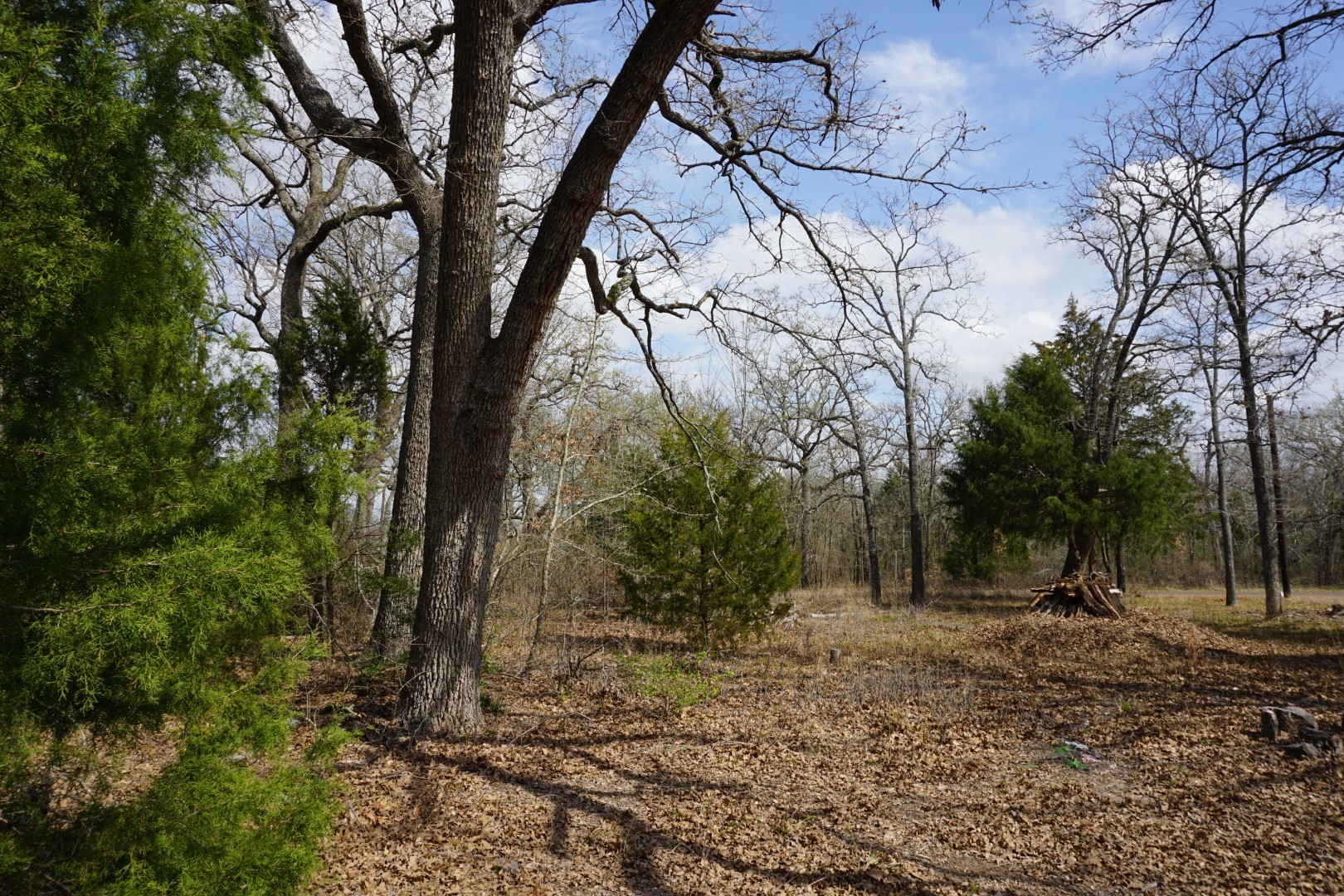1698 Doc Holiday Drive Log Cabin TX 75148